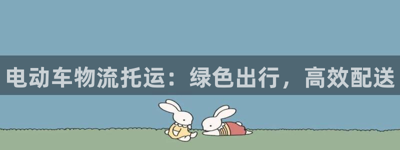 28圈连输10天：电动车物流托运：绿