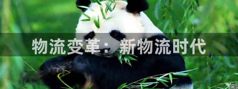 28圈反水怎么算