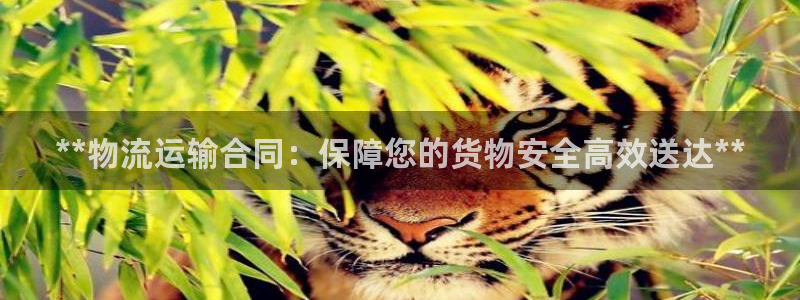 28圈注册登录流程：**物流运输合同