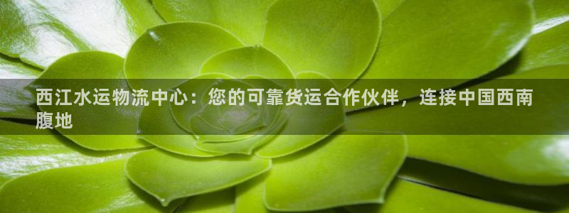28圈模拟器下载：西江水运物流中心：