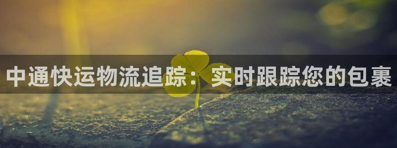 28圈登录流程：中通快运物流追踪：实