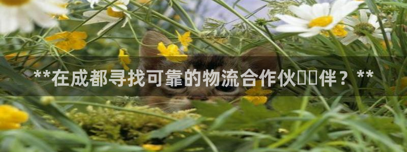 28圈推广链接是多少个：**在成都寻