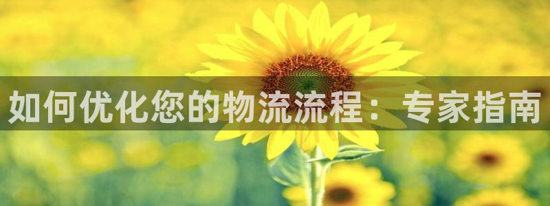 28圈黑款：如何优化您的物流流程：专