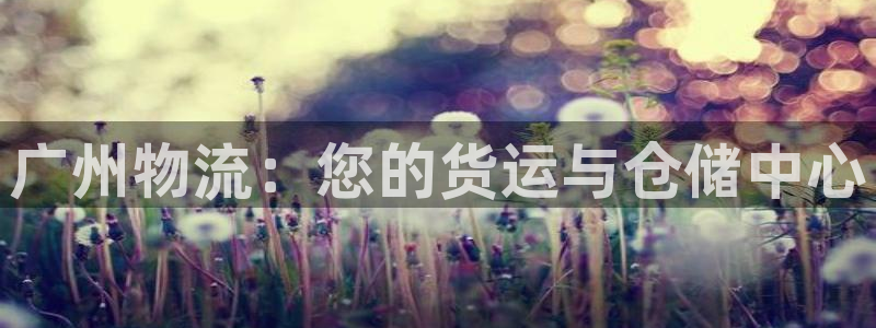 28圈登录不上咋回事：广州物流：您的