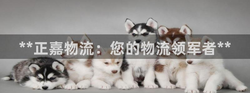 28圈注册流程：**正嘉物流：您的物