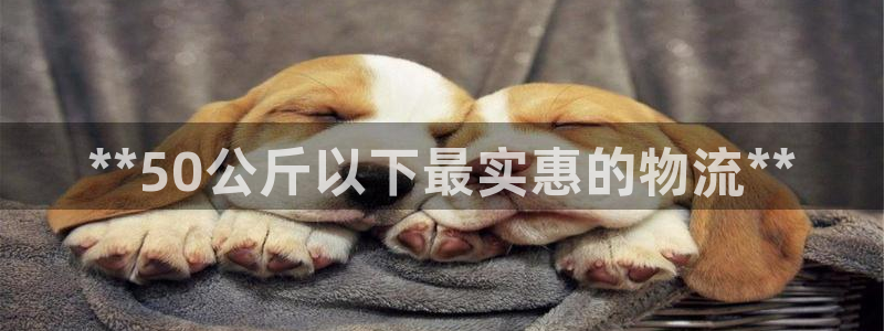 28圈登录不上咋回事：**50公斤以