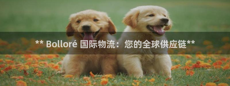 28圈软件总是闪退怎么回事：** B