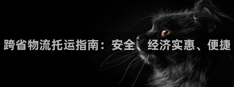 28圈在线预测官网：跨省物流托运指南
