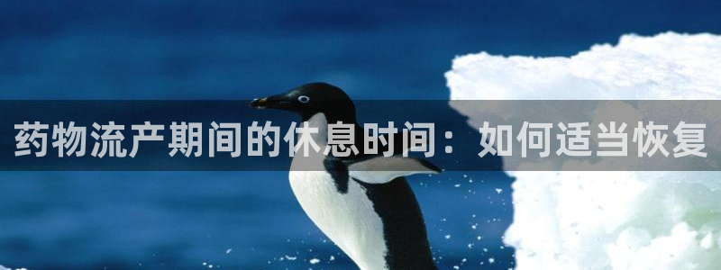 28圈电子游戏：药物流产期间的休息时