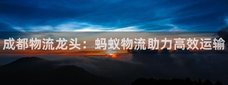 28圈注册网站APP：成都物流龙头：