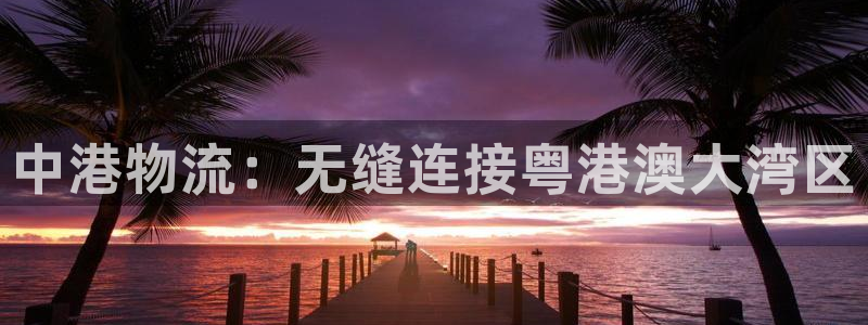 28圈违法吗：中港物流：无缝连接粤港