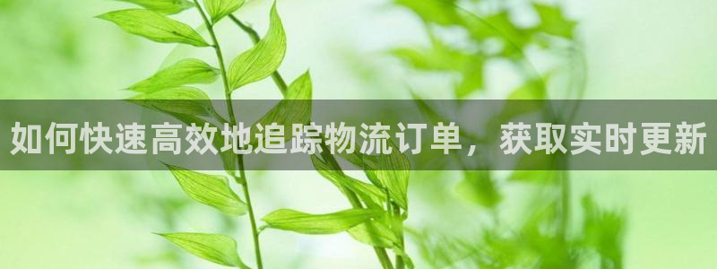 28圈推广链接是多少钱一个：如何快速