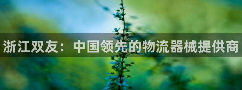 28圈注册上限是啥意思：浙江双友：中