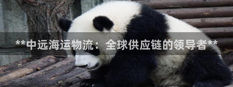 28圈犯法吗：**中远海运物流：全球