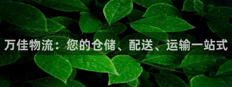 28圈.ccm南宫：万佳物流：您的仓
