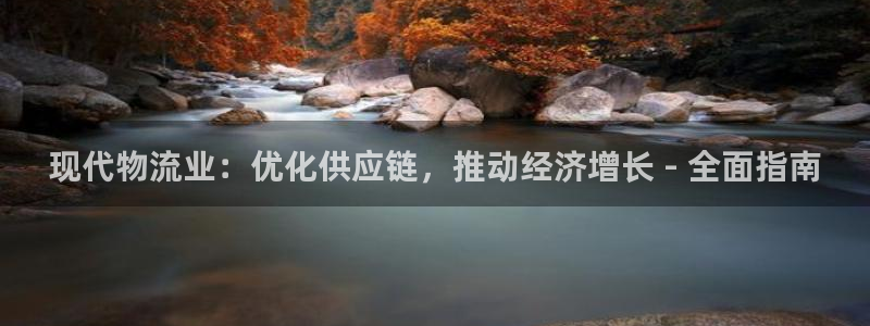 28圈网站平台：现代物流业：优化供应