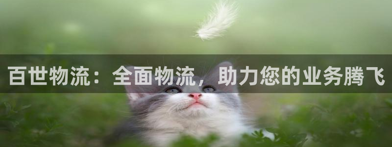 28圈初始密码在哪里修改：百世物流：