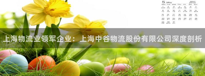 28圈圈助手：上海物流业领军企业：上