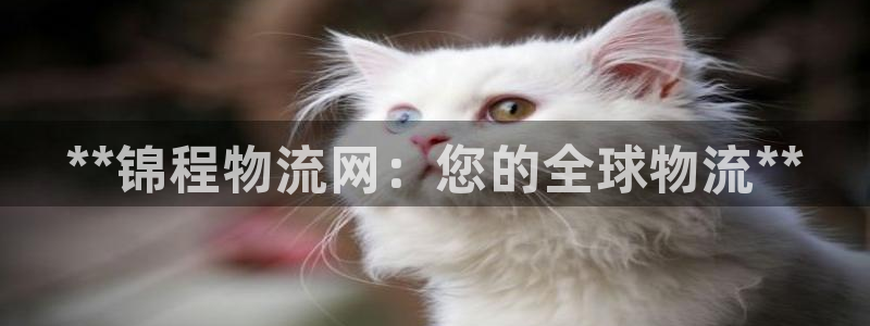 28圈ccm游戏：**锦程物流网：您