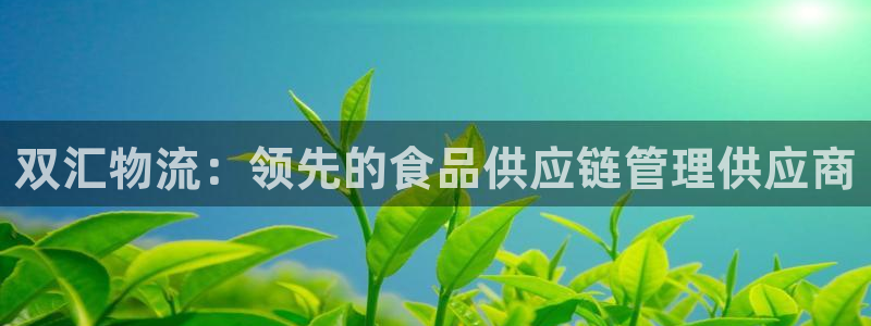 28圈加拿大走势：双汇物流：领先的食