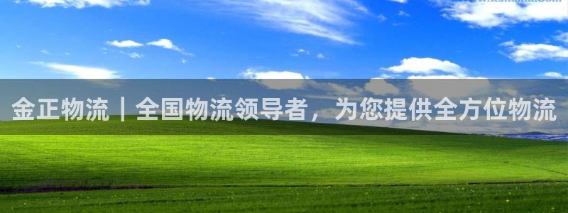 28圈加拿大真假怎么看：金正物流｜全