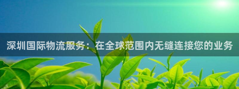 28圈注册二维码：深圳国际物流服务：