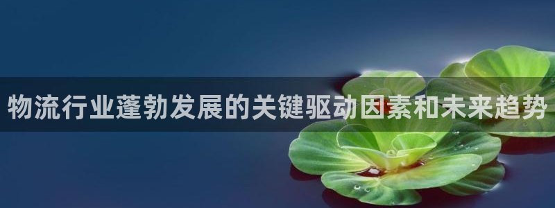 28圈黑不黑：物流行业蓬勃发展的关键