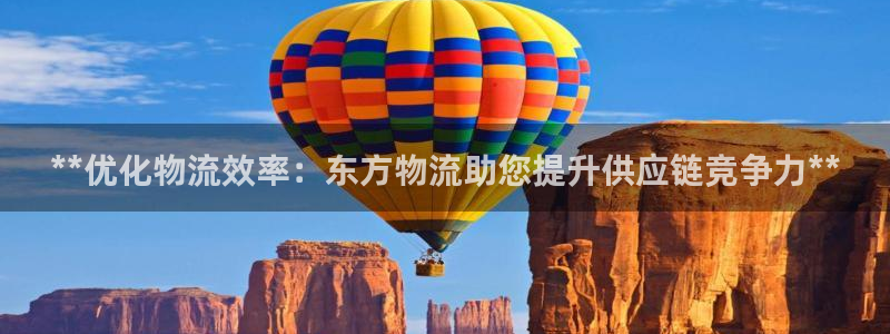 28圈注册登录链接：**优化物流效率：东方物流助您提升供应链