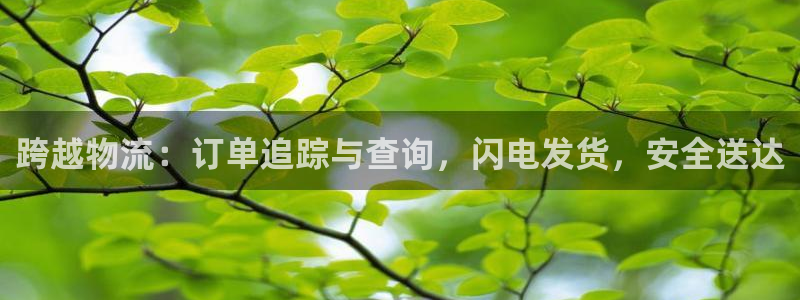 28圈游戏官网版：跨越物流：订单追踪