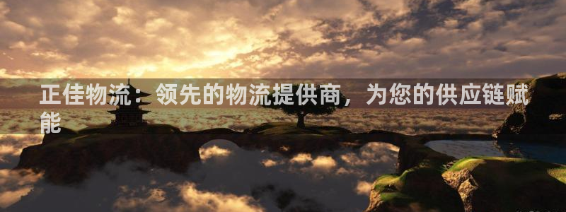 28圈注册地址：正佳物流：领先的物流