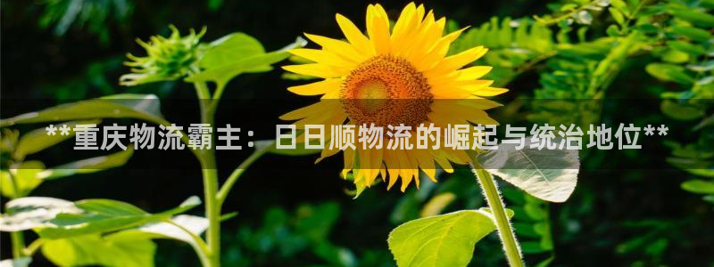 28圈加拿大真假怎么看：**重庆物流