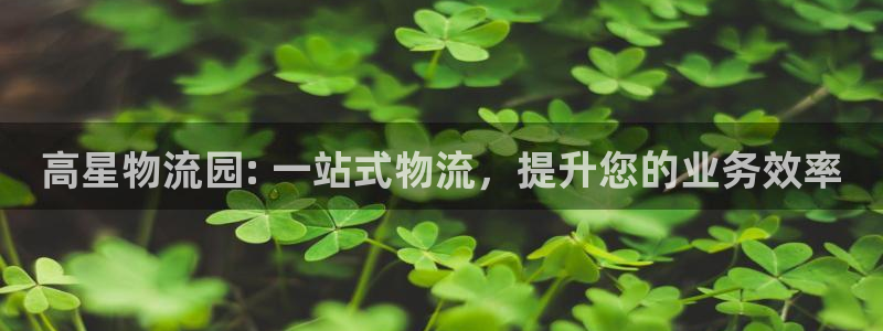 28圈自行车图片：高星物流园: 一站