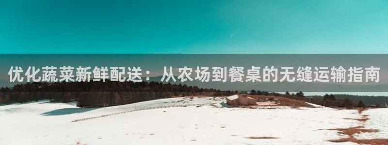 28圈黑吗：优化蔬菜新鲜配送：从农场到餐桌的无缝运输指南