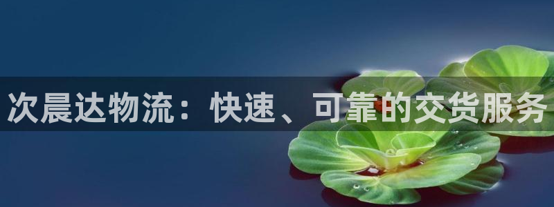 28圈平台注册：次晨达物流：快速、可
