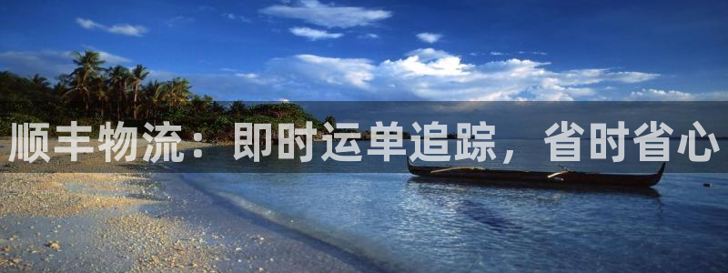 28圈大舞台：顺丰物流：即时运单追踪