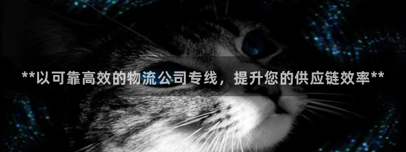 28圈官网版所有版本：**以可靠高效
