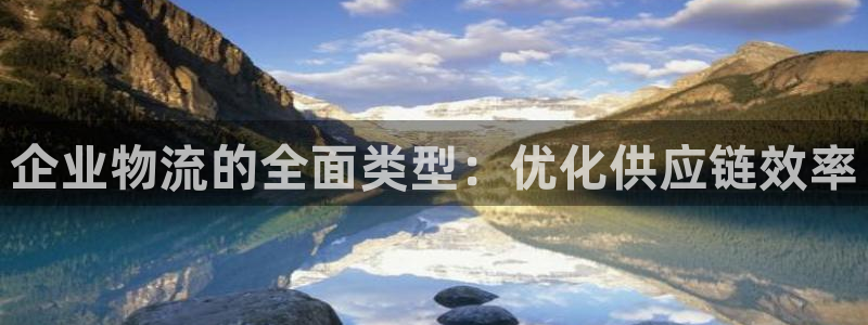28圈赌博被抓：企业物流的全面类型：