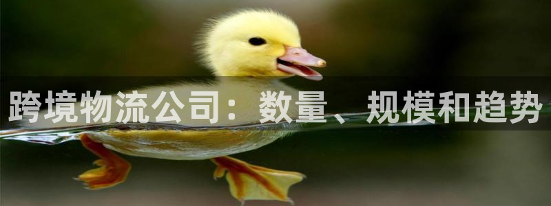 28圈APP是干什么的：跨境物流公司