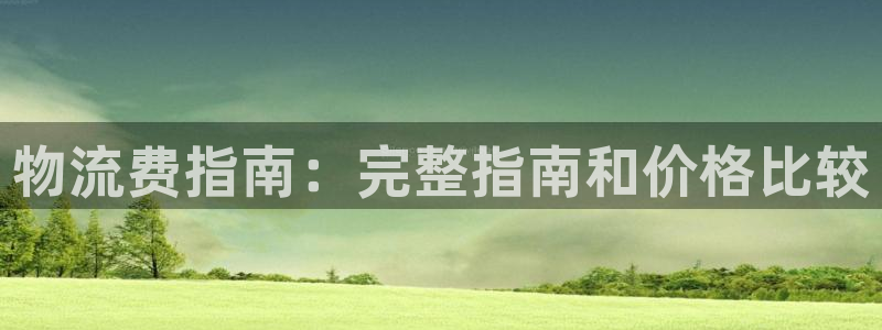 28圈分分28预测：物流费指南：完整
