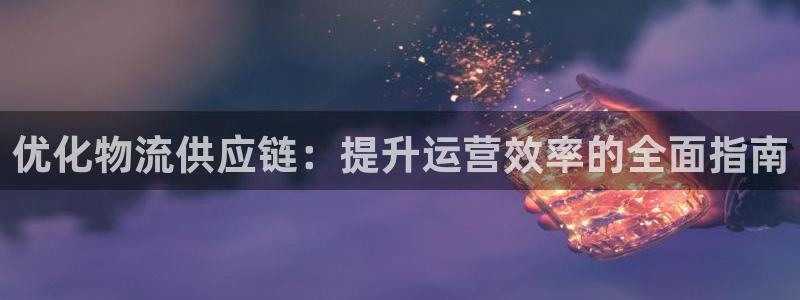 28圈官方网站：优化物流供应链：提升
