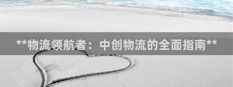 28圈登陆网：**物流领航者：中创物
