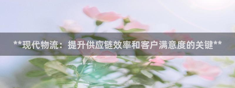 28圈官方平台：**现代物流：提升供