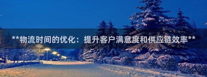 28圈充值不处理：**物流时间的优化