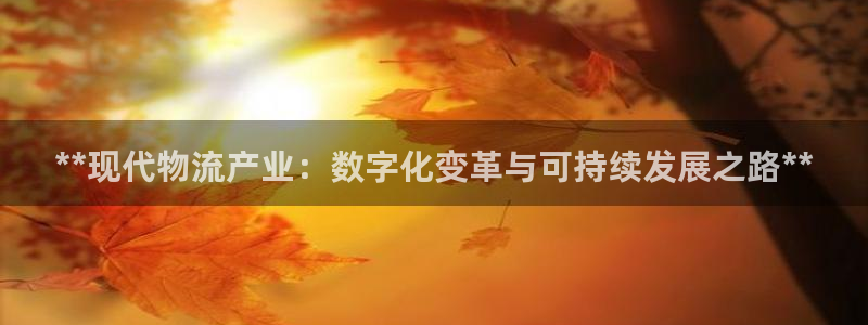 28圈加拿大28