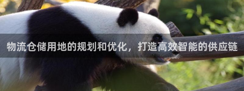 28圈：物流仓储用地的规划和优化，打