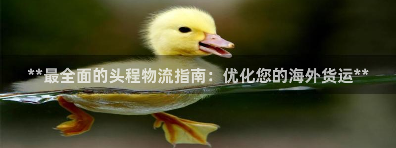 28圈登录流程：**最全面的头程物流
