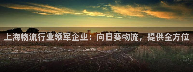 28圈推广链接是多少钱一个：上海物流