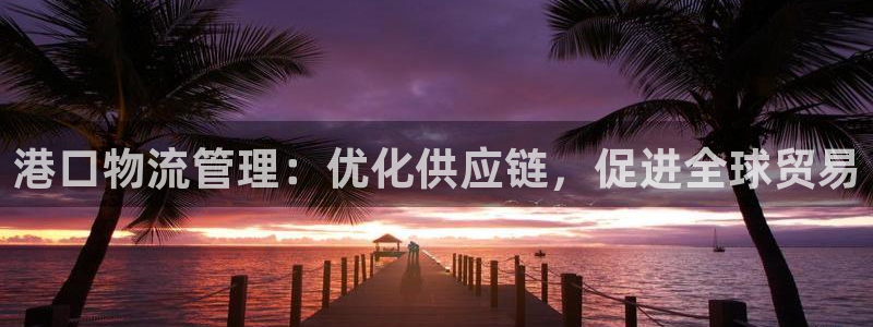 自行车28圈是什么意思：港口物流管理：优化供应链，促进全球贸
