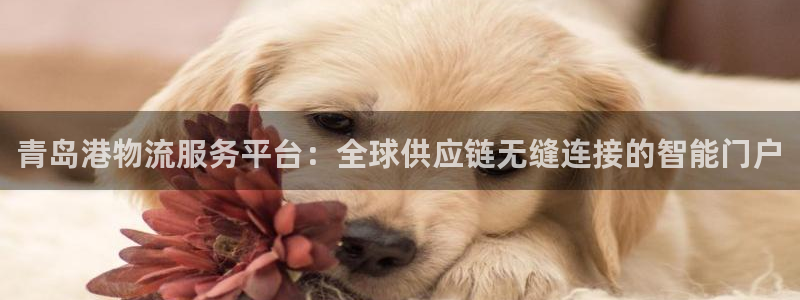 28圈充值不到账什么原因