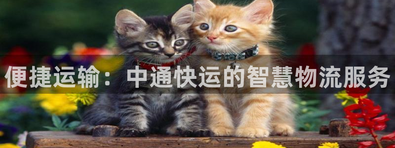 28圈返水怎么算的